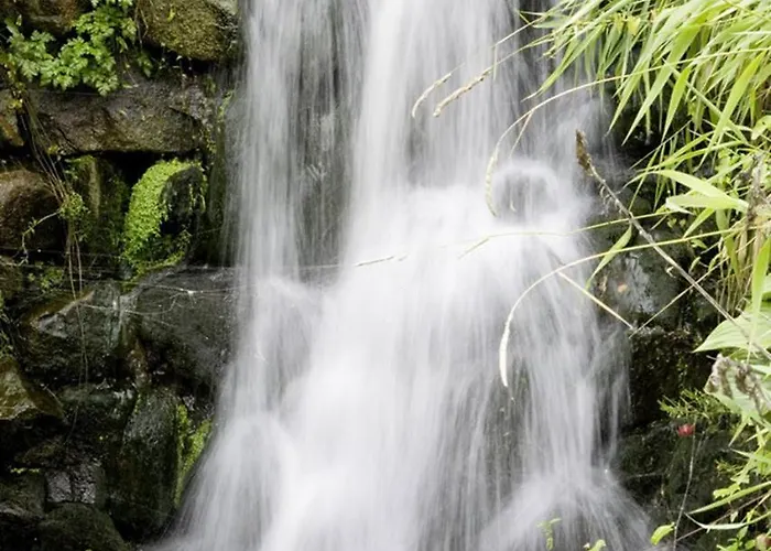 Wagners Seehotel Hotel 3*