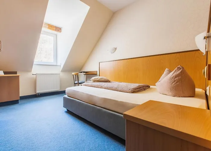 Hotel Wagners Seehotel Schleusingen